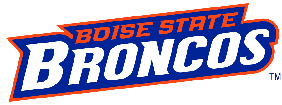 Boise State Broncos 2002-2012 Wordmark Logo v8 iron on transfers for clothing